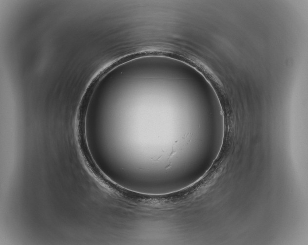 X0000113750991200909231128