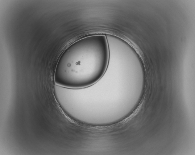 X0000113750993200909231128