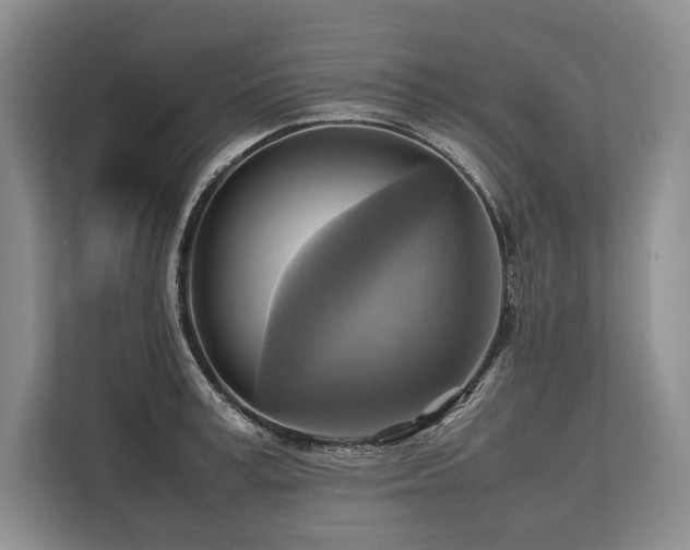 X0000113750995200909231128