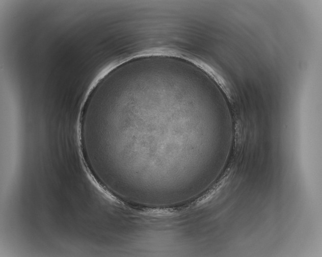 X0000113750998200909231128