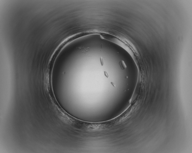 X0000113751000200909231128