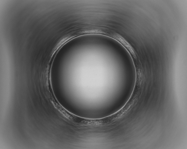 X0000113751002200909231128