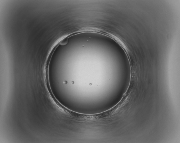 X0000113751003200909231128