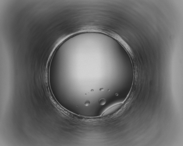X0000113751004200909231128