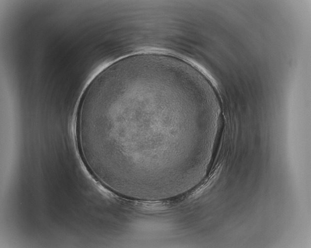 X0000113751007200909231128