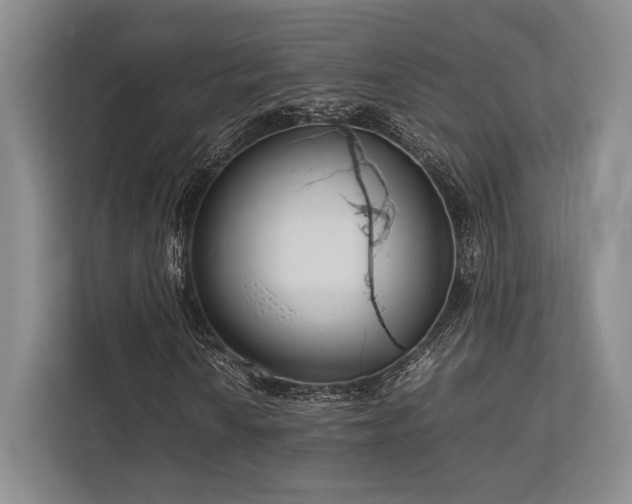 X0000113751010200909231127