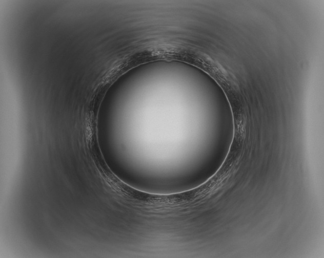 X0000113751012200909231127