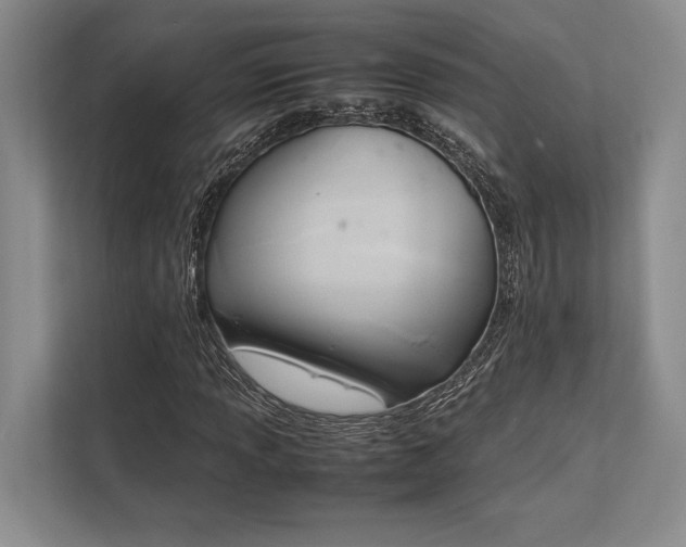 X0000113751013200909231127