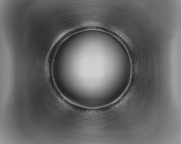 X0000113751022200909231127