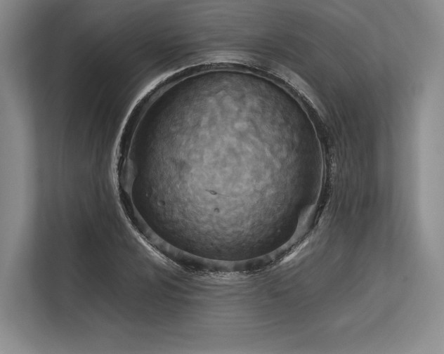X0000113751024200909231127