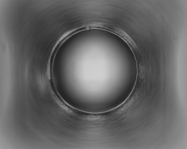 X0000113751036200909231127