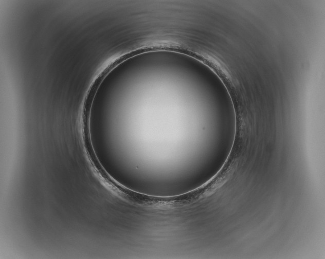 X0000113751038200909231127