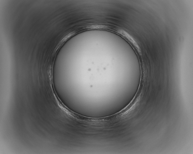 X0000113751049200909231127
