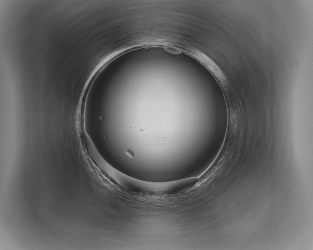 X0000113751052200909231128