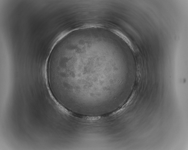 X0000113751055200909231128