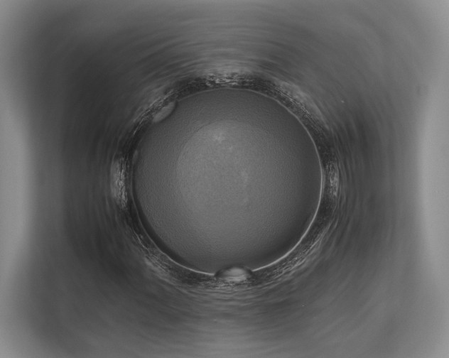 X0000113751060200909231127