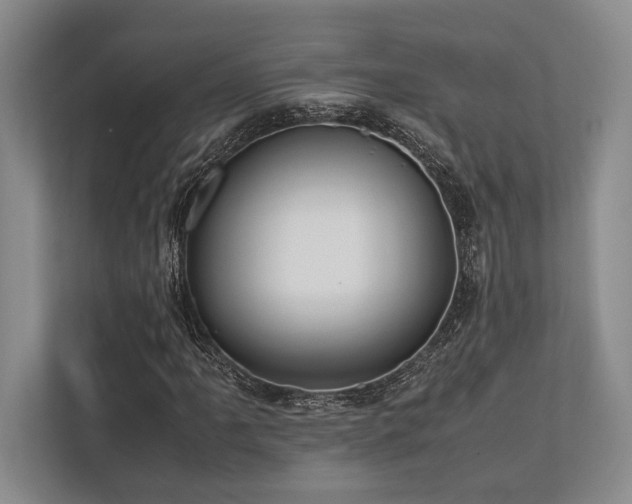 X0000113751061200909231127