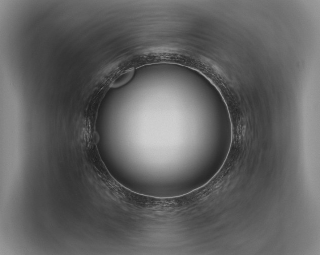 X0000113751062200909231127