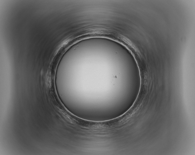 X0000113751067200909231127