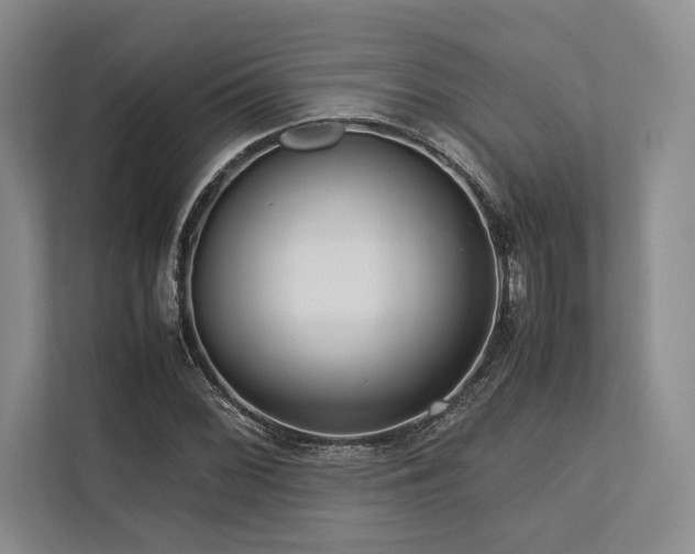 X0000113751068200909231127