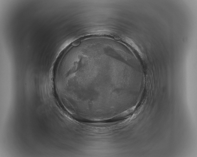 X0000113751071200909231127