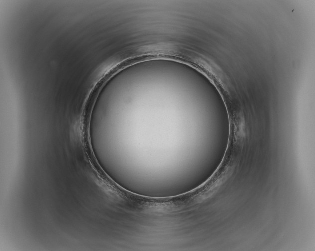 X0000113751074200909231127