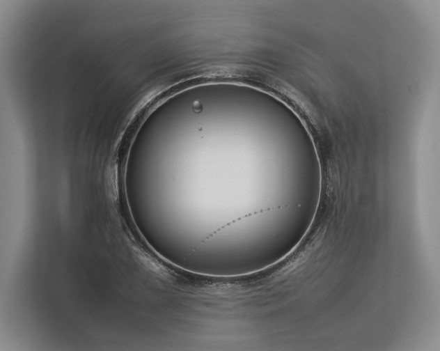 X0000113751075200909231127