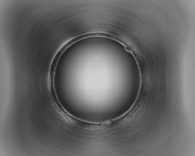 X0000113751076200909231127