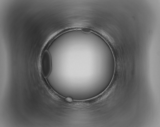 X0000113751077200909231127