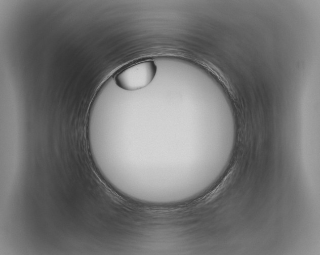X0000113751081200909231127