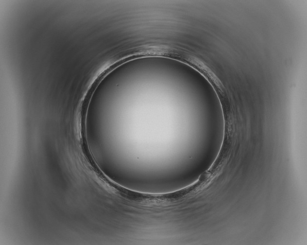X0000113751083200909231127
