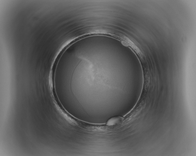 X0000113751084200909231127