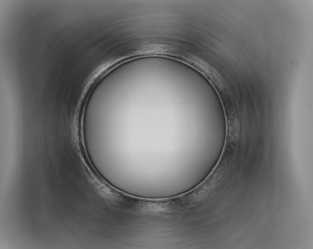 X0000113751086200909231127