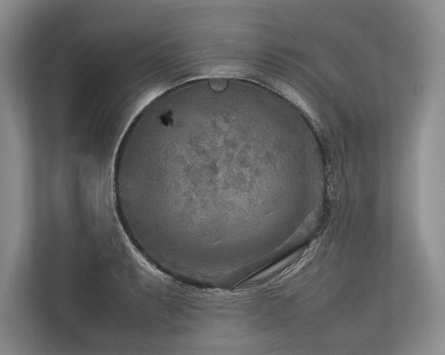 X0000113751087200909231127
