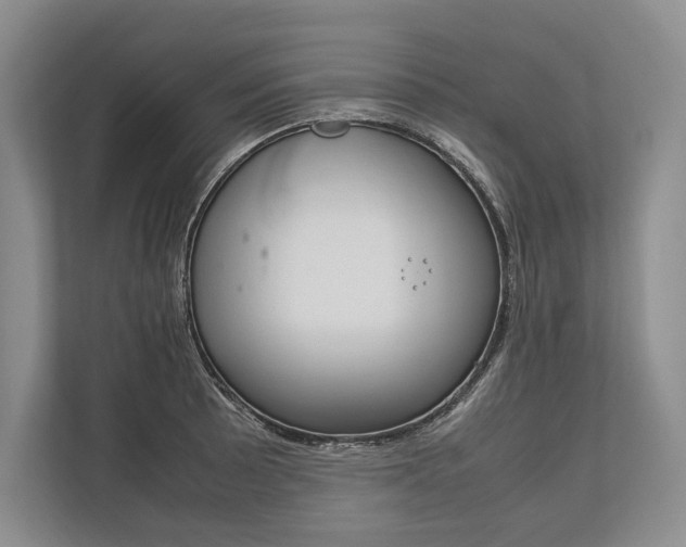 X0000113751089200909231127