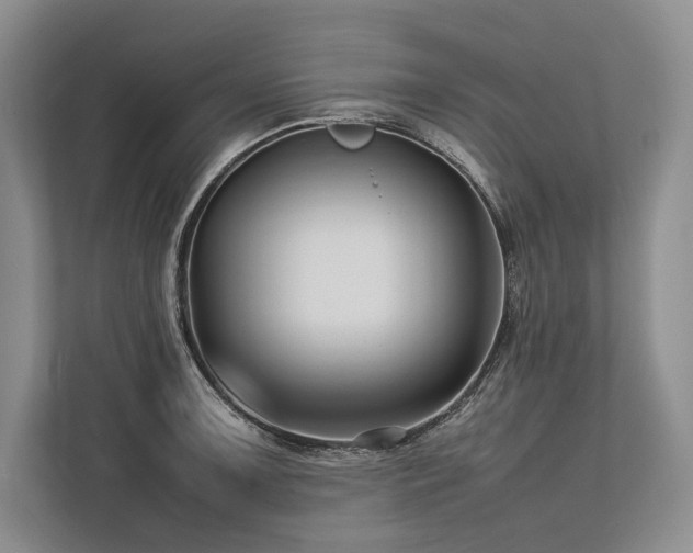X0000113751091200909231127