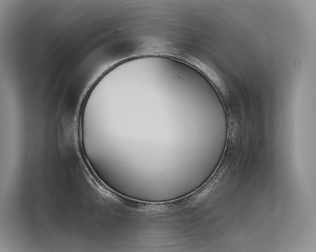 X0000113751094200909231126