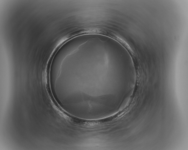 X0000113751095200909231126