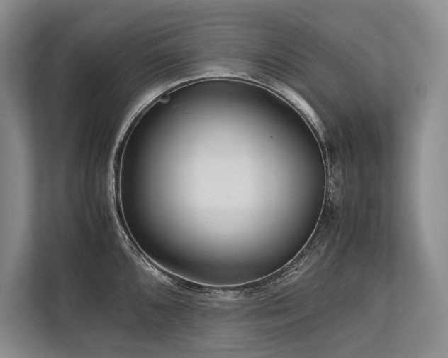 X0000113751096200909231126