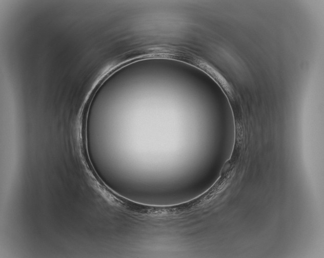 X0000113751099200909231126