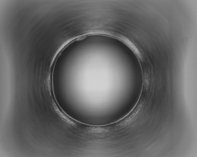 X0000113751100200909231126