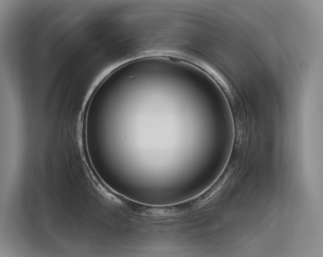 X0000113751102200909231126