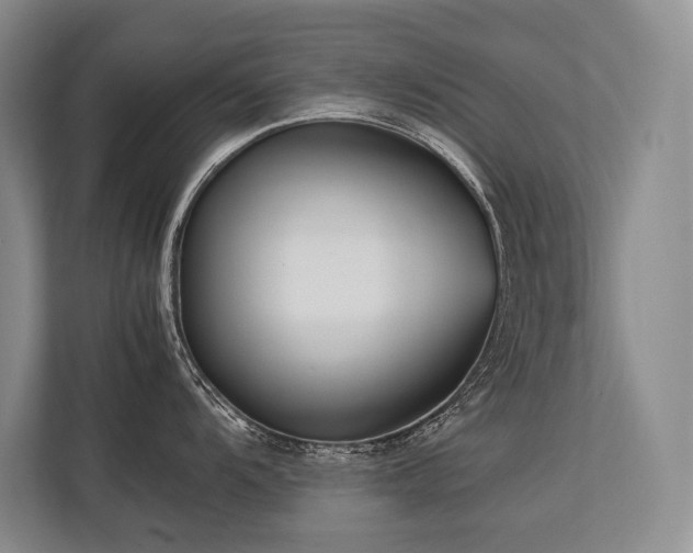 X0000113751104200909231126