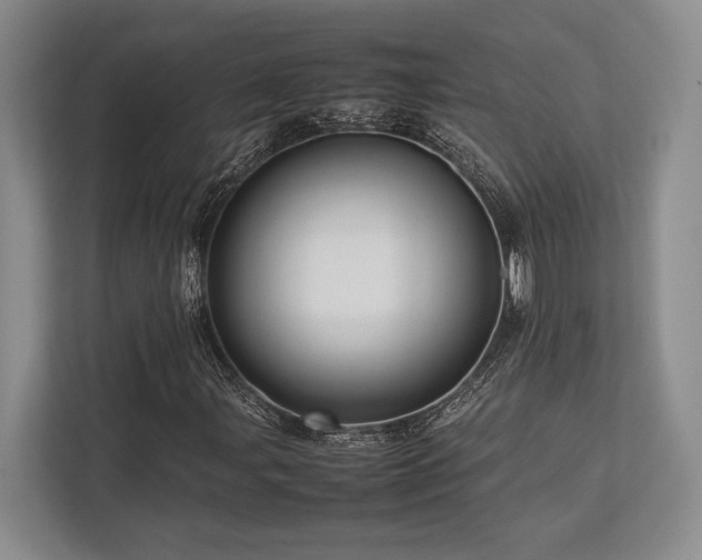 X0000113751107200909231126