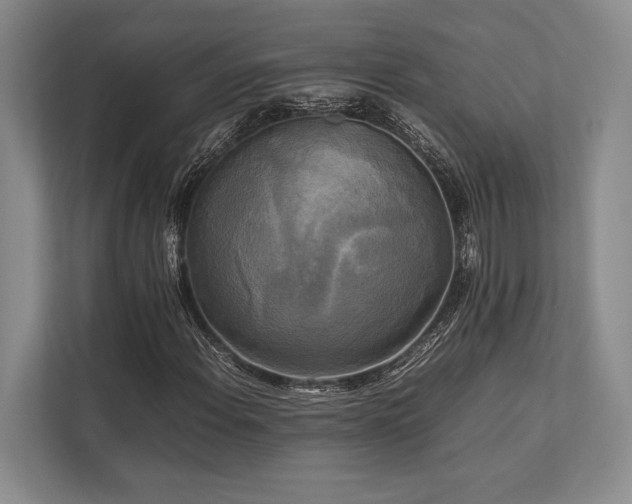 X0000113751108200909231126