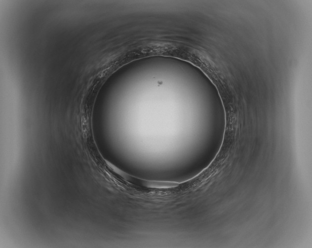 X0000113751109200909231126