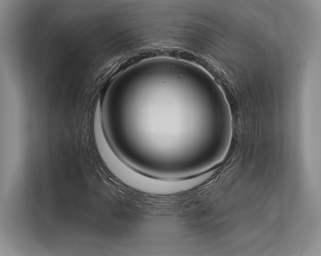X0000113751110200909231126