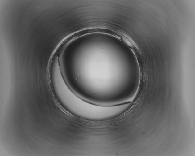 X0000113751116200909231126