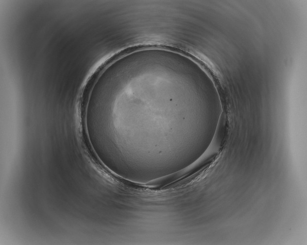 X0000113751120200909231126