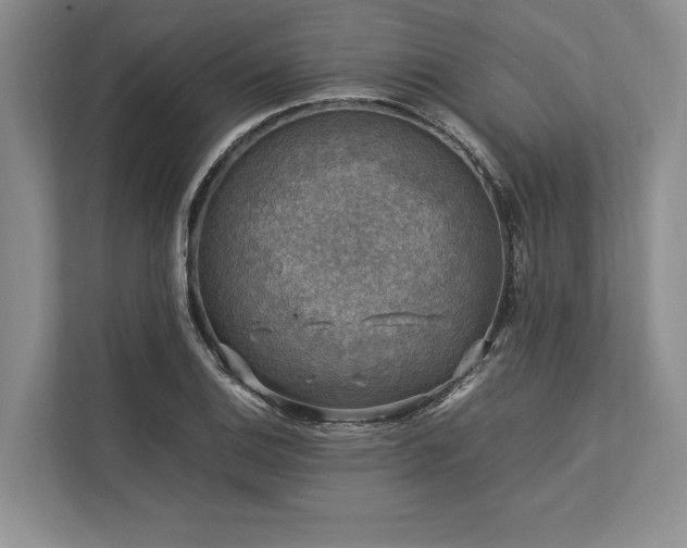 X0000113751124200909231126